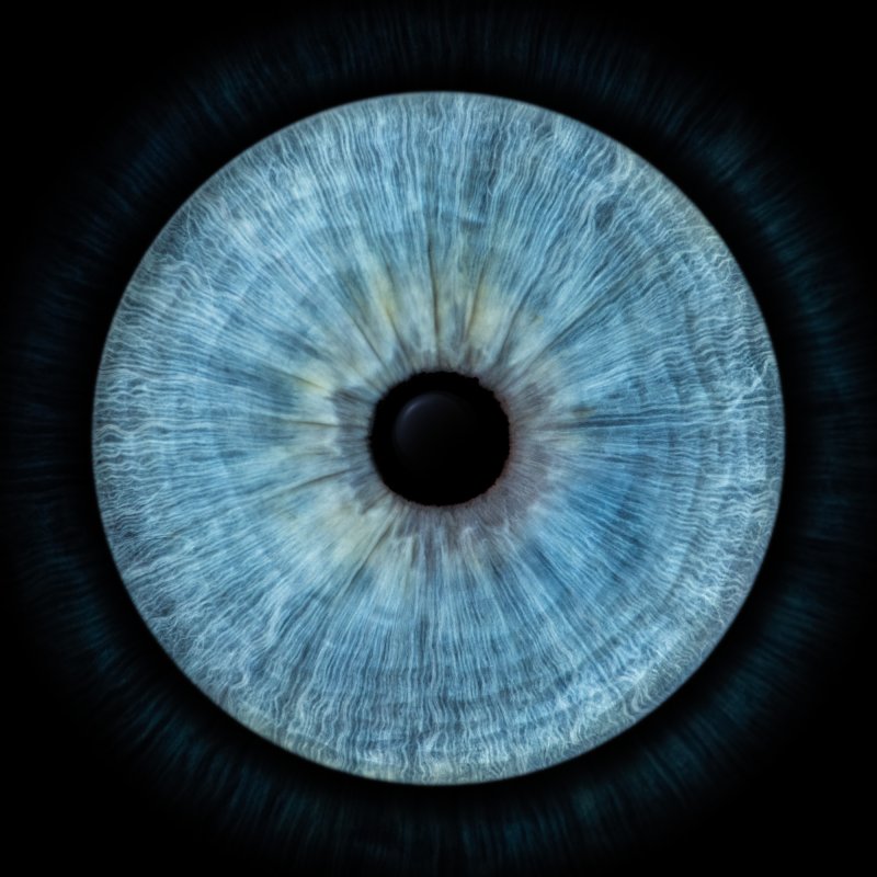 Зрачок глаза