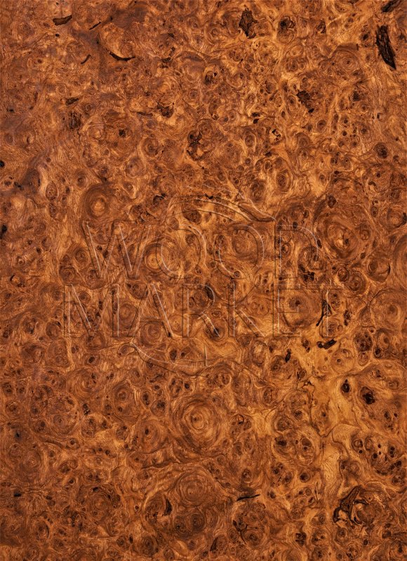 Карельская береза шпон Вудсток