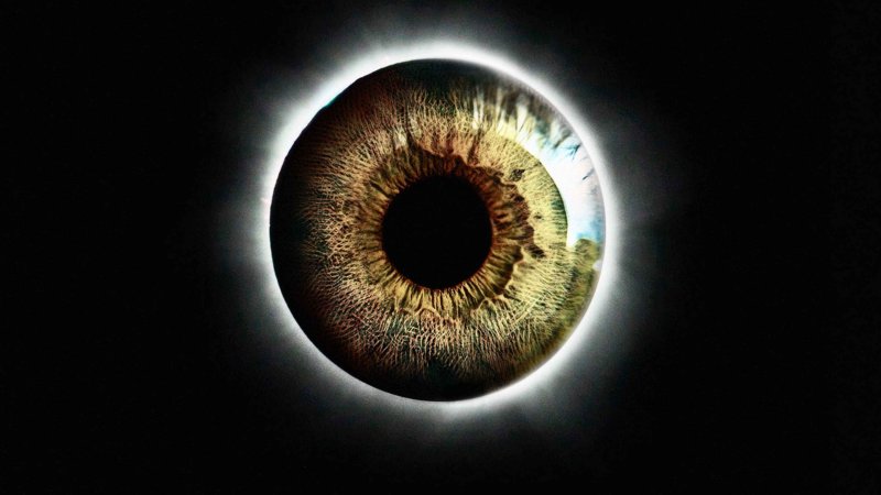 Зрачок глаза