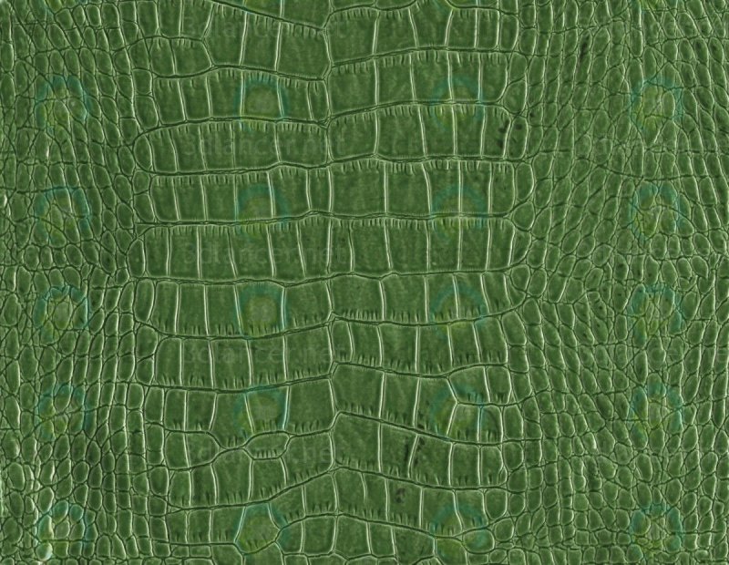 Текстура кожи