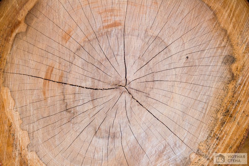 Браун Вуд (Brown Wood)