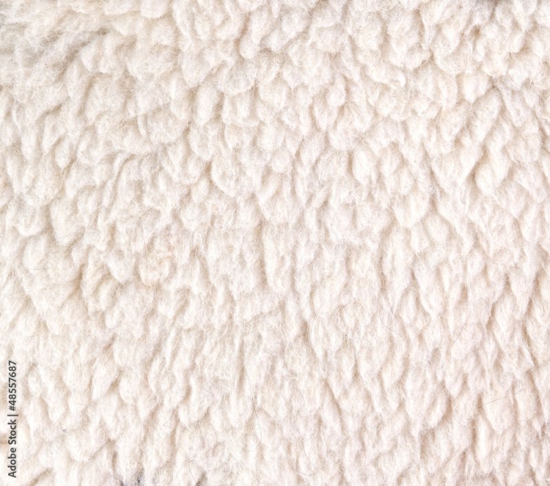 Текстура шерсти овцы