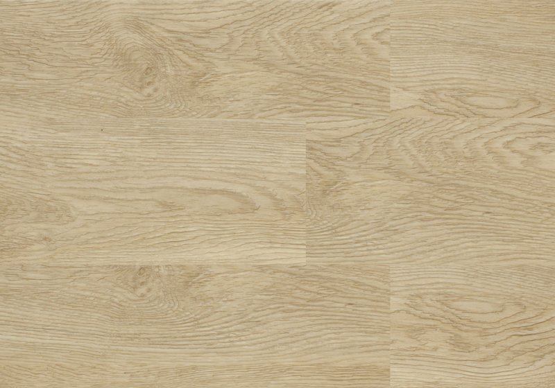 Дуб Бардолино (h1145 st10)