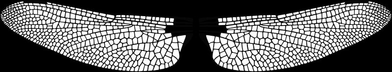 Крылья Стрекозы