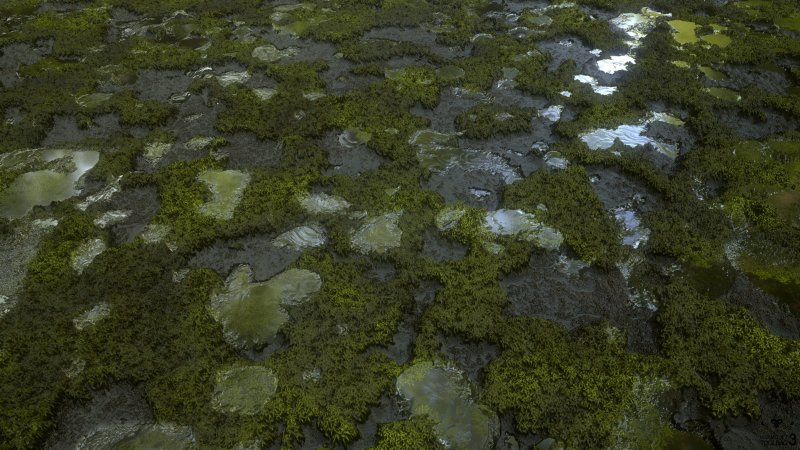 Сталкер болота вода