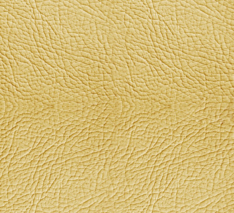 Текстура кожи