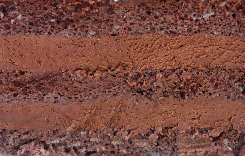 Бисквит текстура