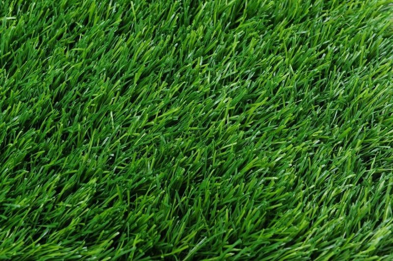 Газон текстура сбоку