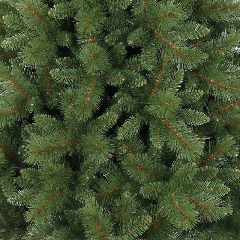 Ель колючая Waldbrunn