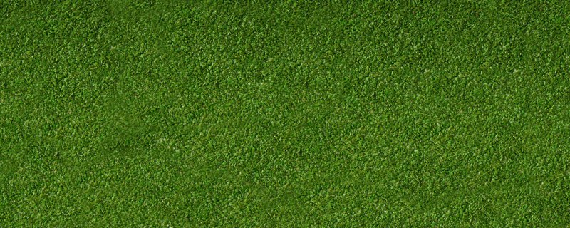 Газон текстура