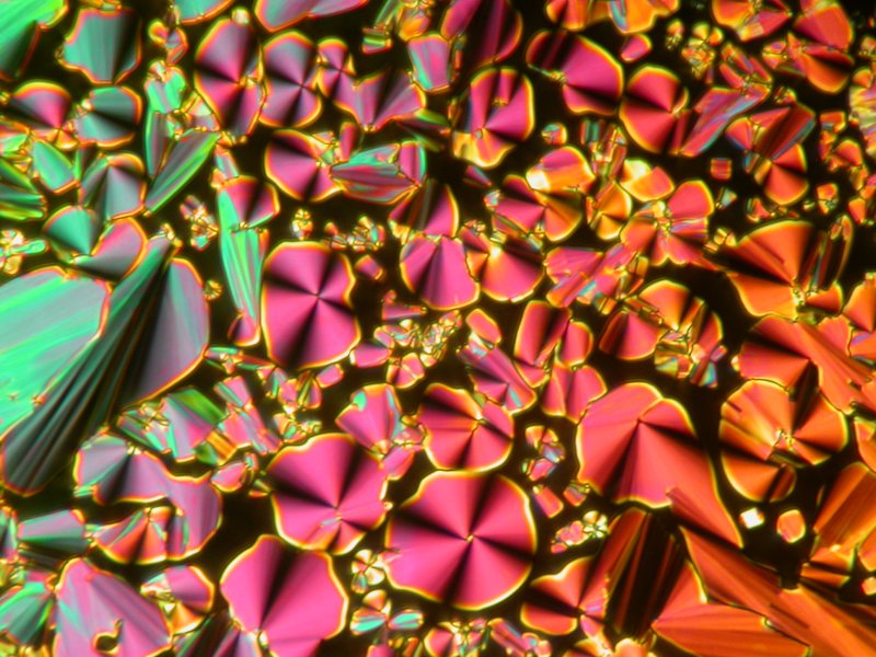 Лиотропные жидкие Кристаллы