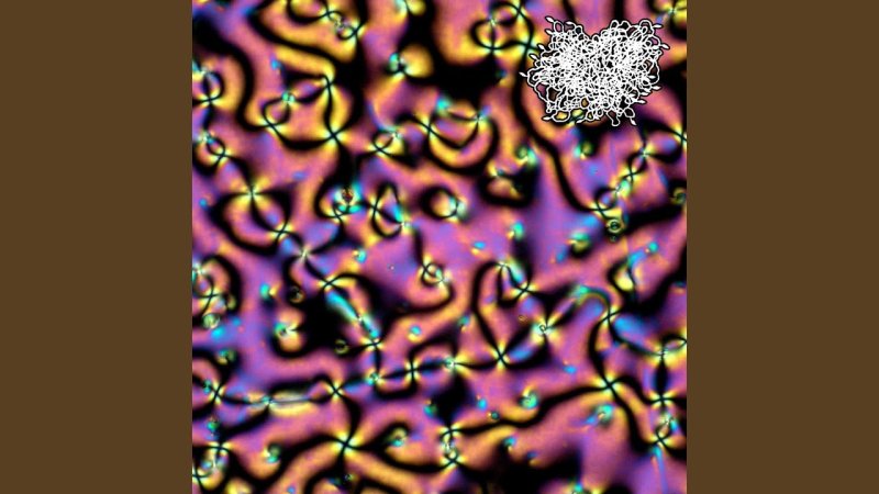 Термотропные жидкие Кристаллы