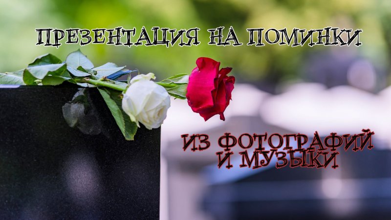Цветы на могилу