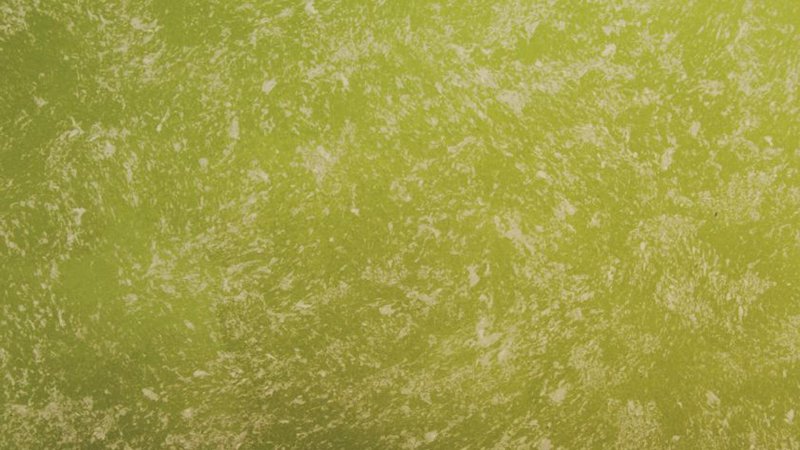 Декоративная штукатурка зеленая