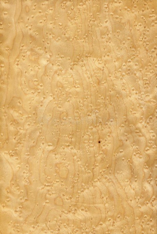 Birdseye Maple