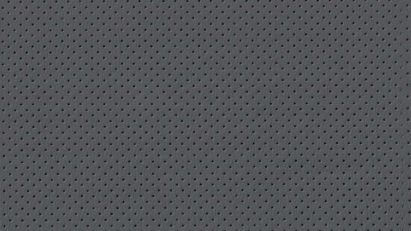 Перфорированная кожа