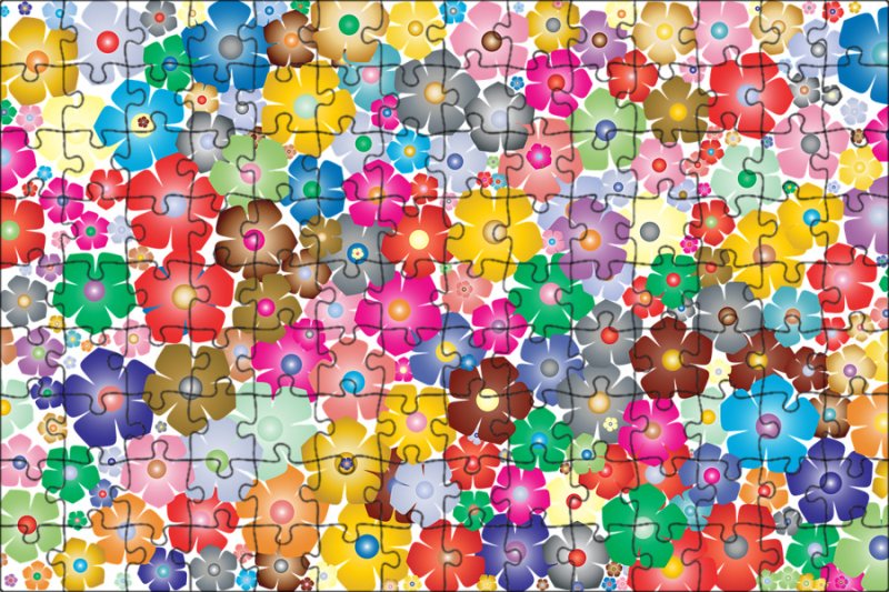 Мелкие яркие цветочки