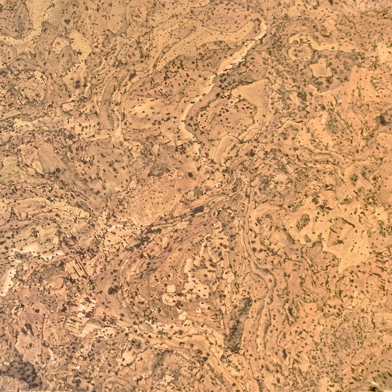 Пробковое покрытие текстура