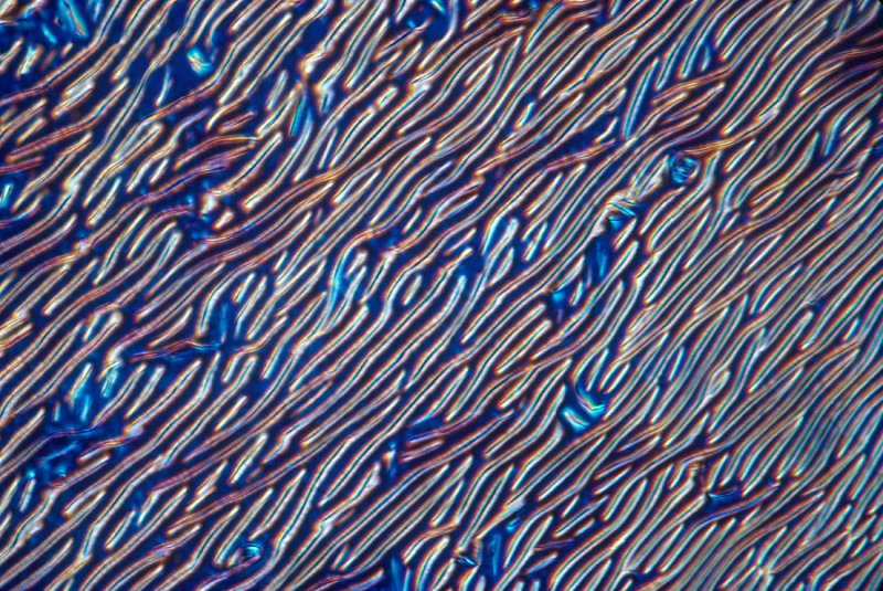 Холестерическая фаза жидких кристаллов