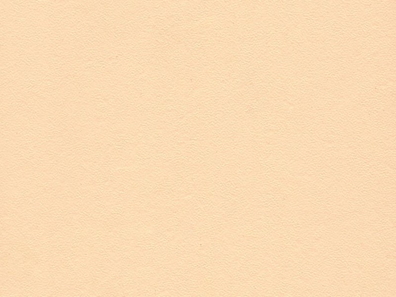 ЛДСП 2750*1830*16 /капучино/