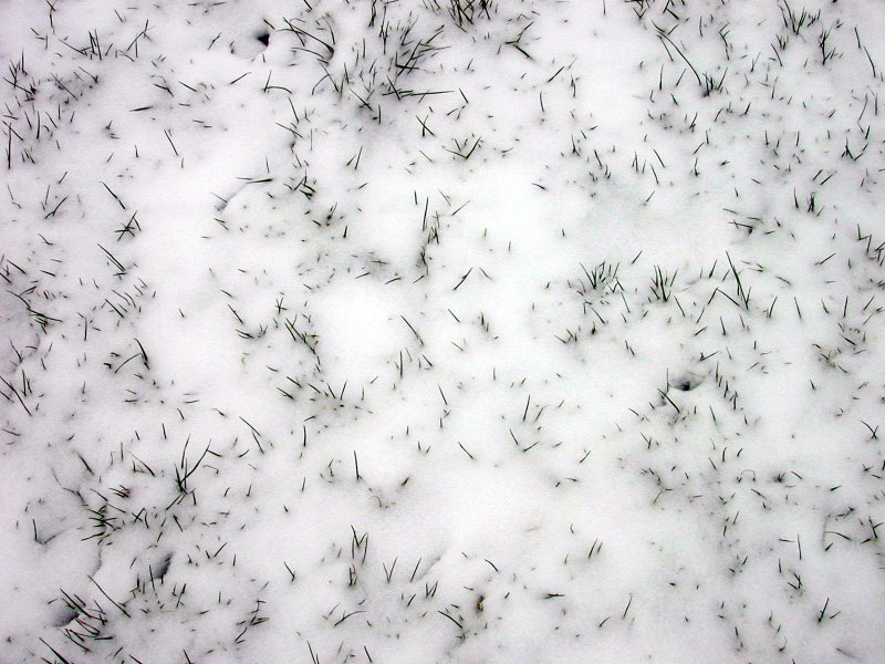 Снег текстура