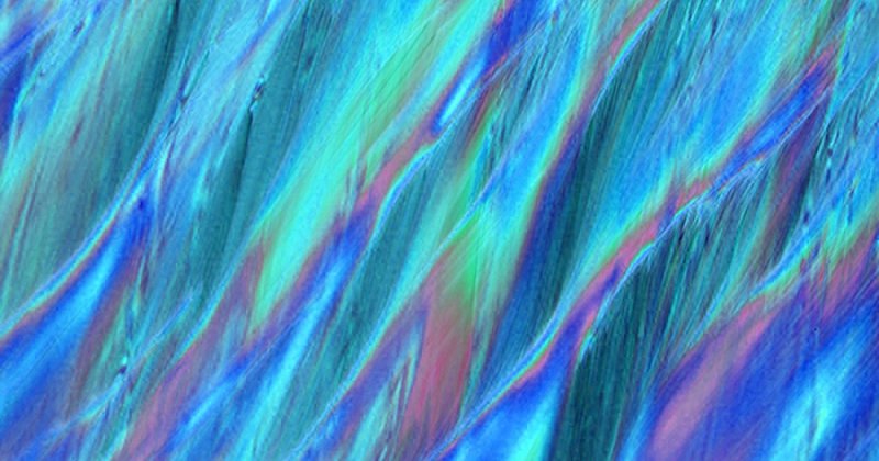 Нематические жидкие Кристаллы под микроскопом