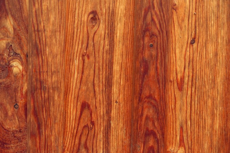 Секвойя древесина