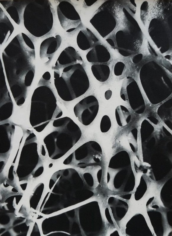 Органическая текстура