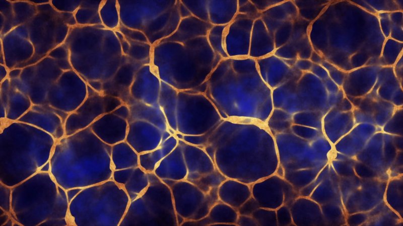 Органическая текстура