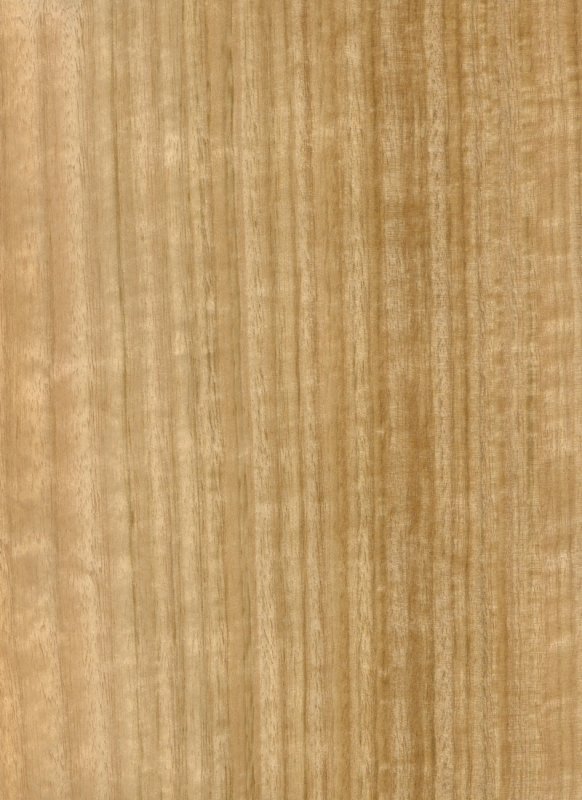 Шпон эвкалипт e5.s.005