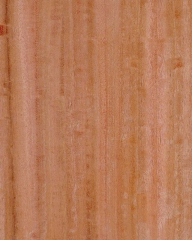 Шпон Wood Eucalyptus