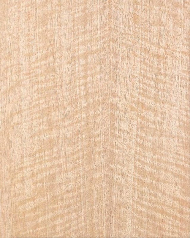 Клен сикамора шпон