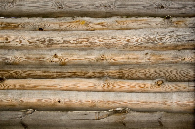 Текстура бревна