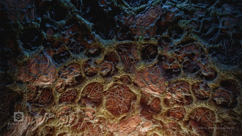 Органическая текстура