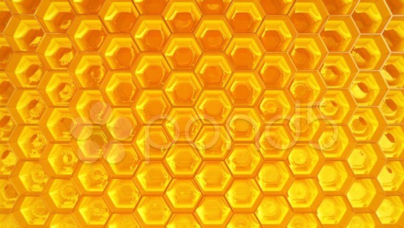 Соты пчелиные