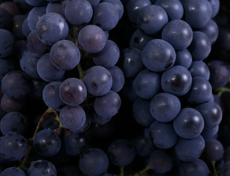Виноград черный