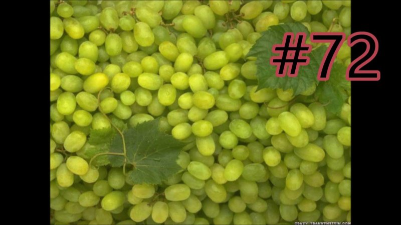 Виноград зеленый