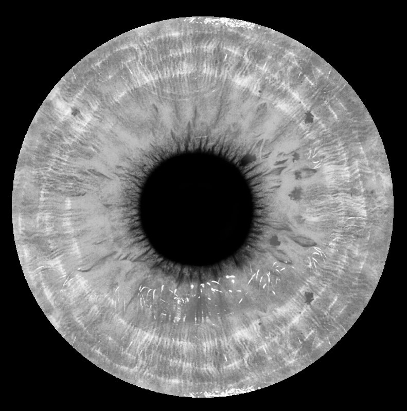 Серая радужка глаз