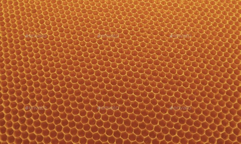 Медовая вощина