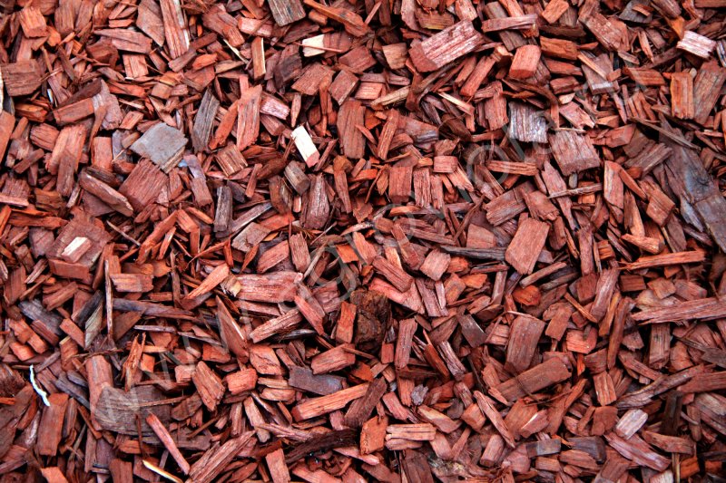 Кора мульча текстура бесшовная