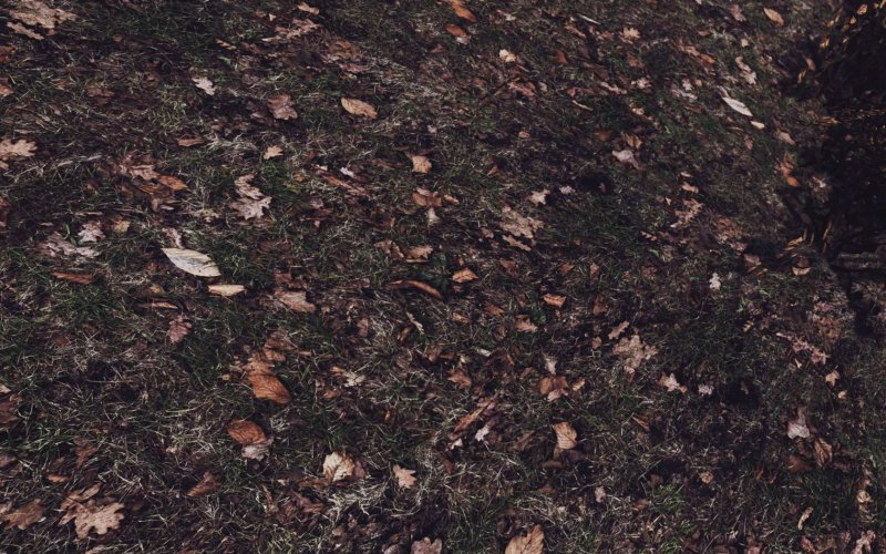 Почва текстура