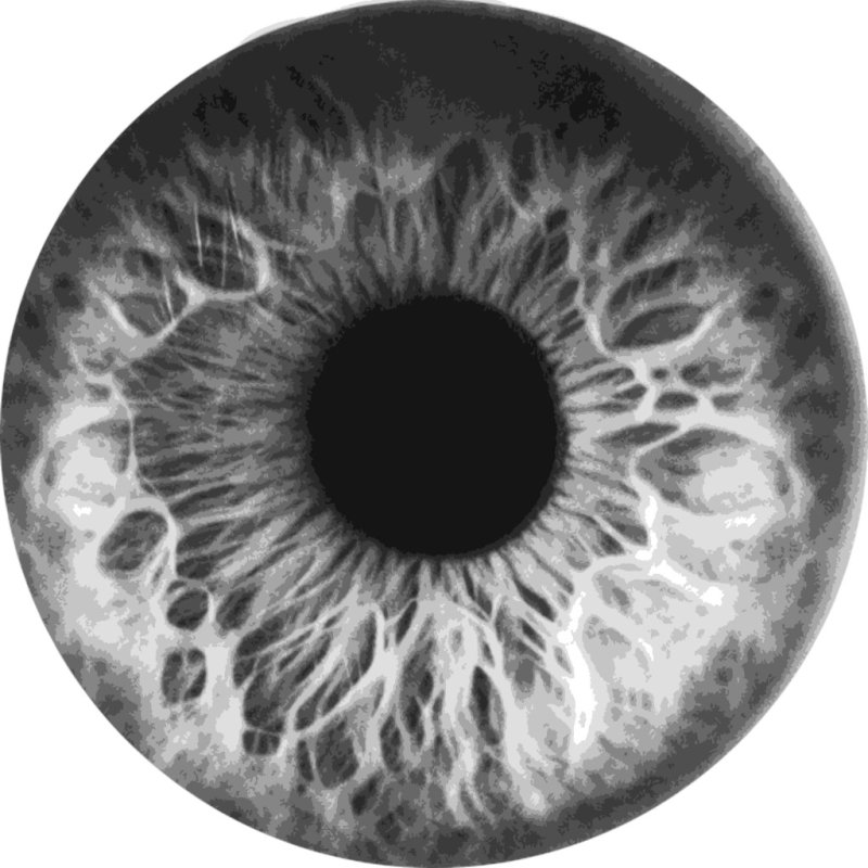 Текстура глаза