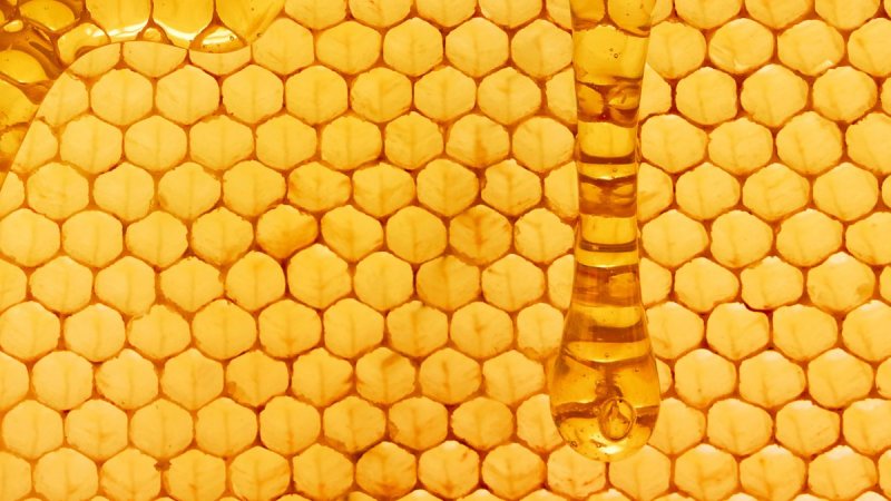 Трипофобия соты медовые