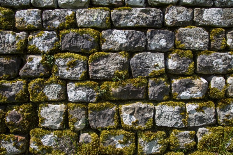 Замшелые каменные кирпичи