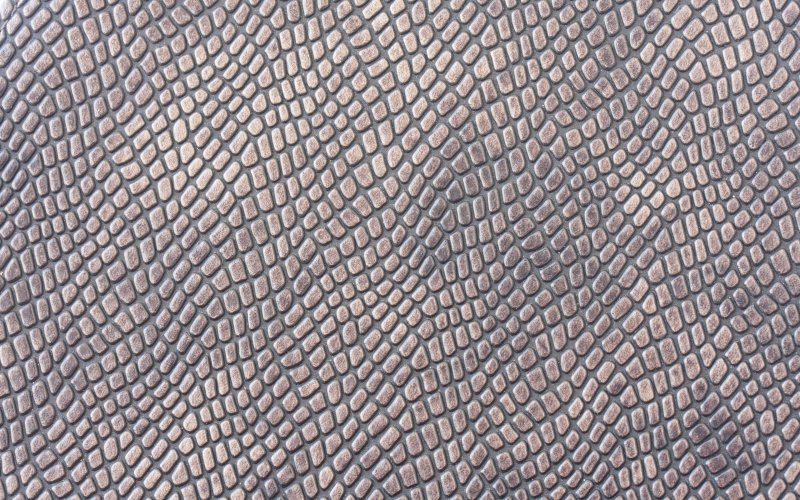 Текстура кожи