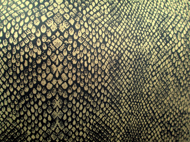 Змеиная чешуя Альфа