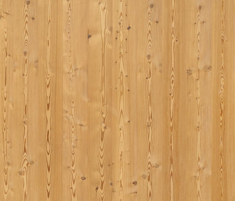 Лиственница текстура