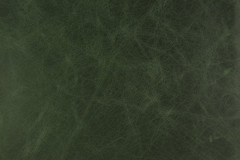 Темно зеленая кожа