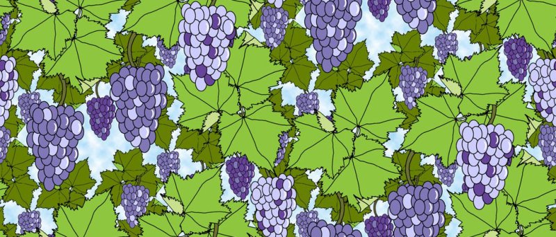 Виноград фон