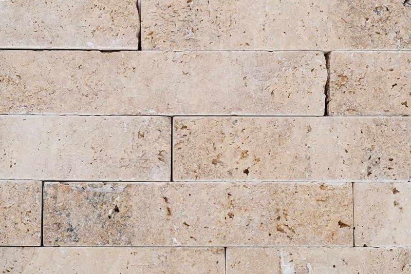 Травинтин 2022